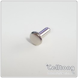 ��ǰ ������